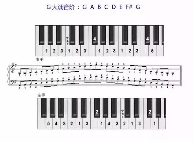钢琴g大调音阶图图片