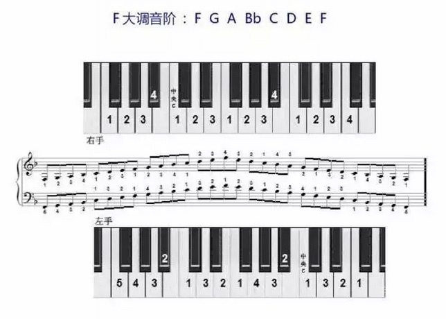 钢琴f调音阶指法图片