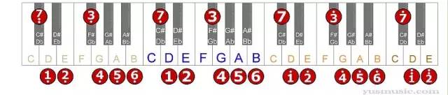 D大调音阶  钢琴简谱表